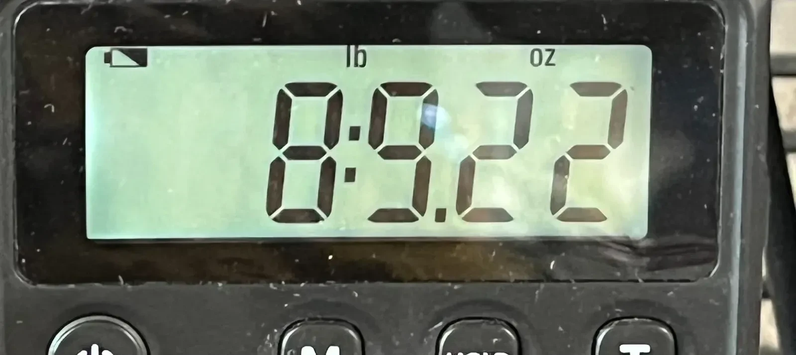 Изображение №8