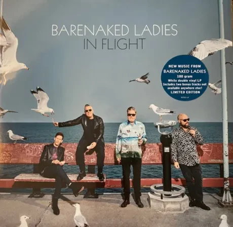 Виниловая пластинка BARENAKED LADIES – In Flight