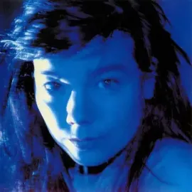 Виниловая пластинка Bjork - Telegram [New Vinyl LP]