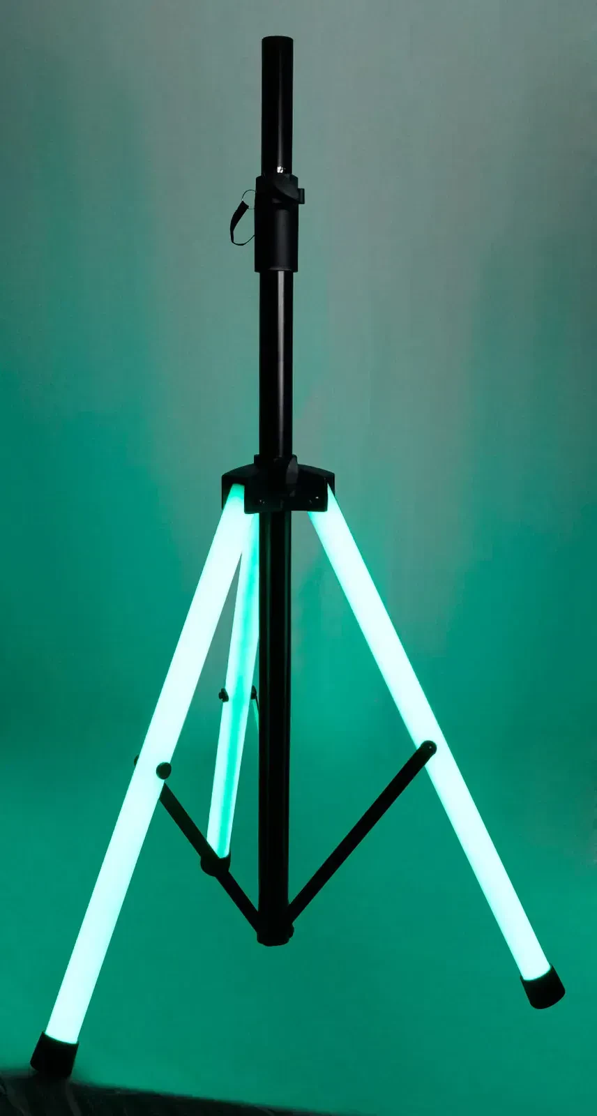 Изображение №4