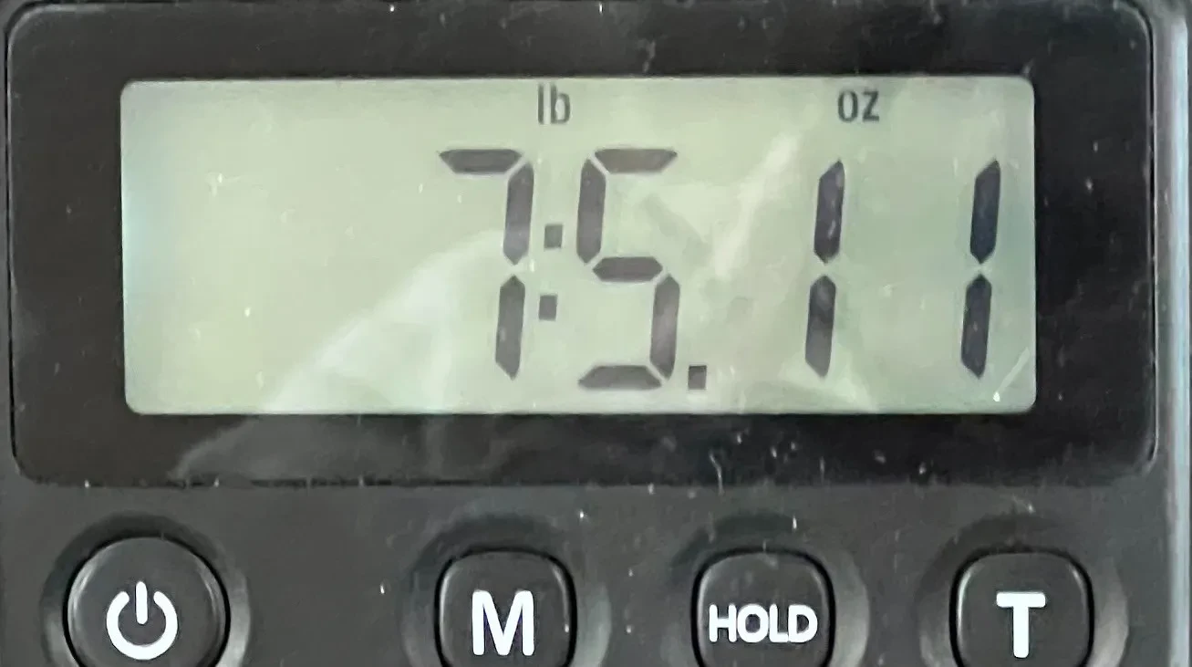 Изображение №8