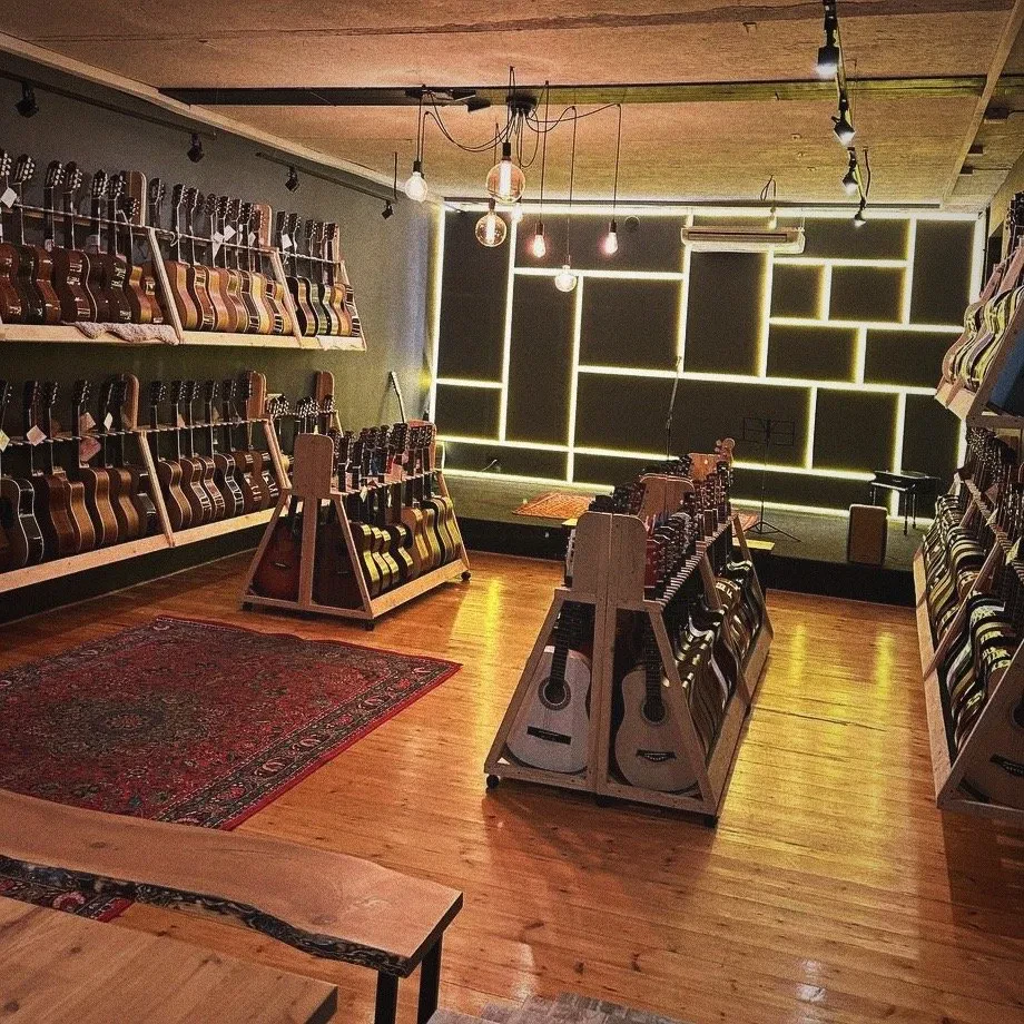 SKIFMUSIC — музыкальный магазин в Краснодаре