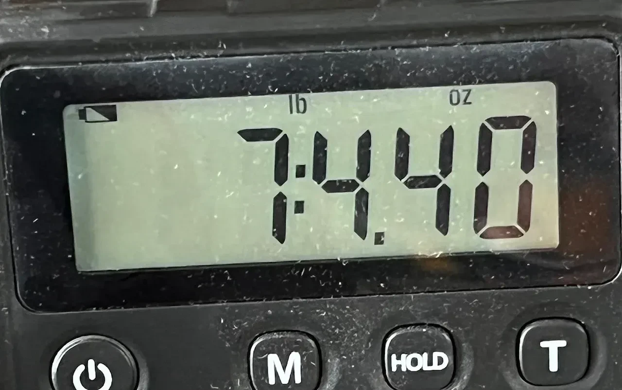 Изображение №10