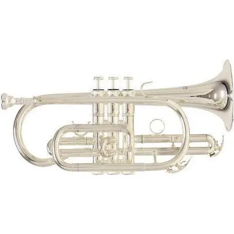 Корнет Roy Benson CR-202S Bb Silver