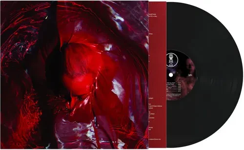 Виниловая пластинка Blackwater Holylight - Not Here Not Gone [New Vinyl LP] Reissue
