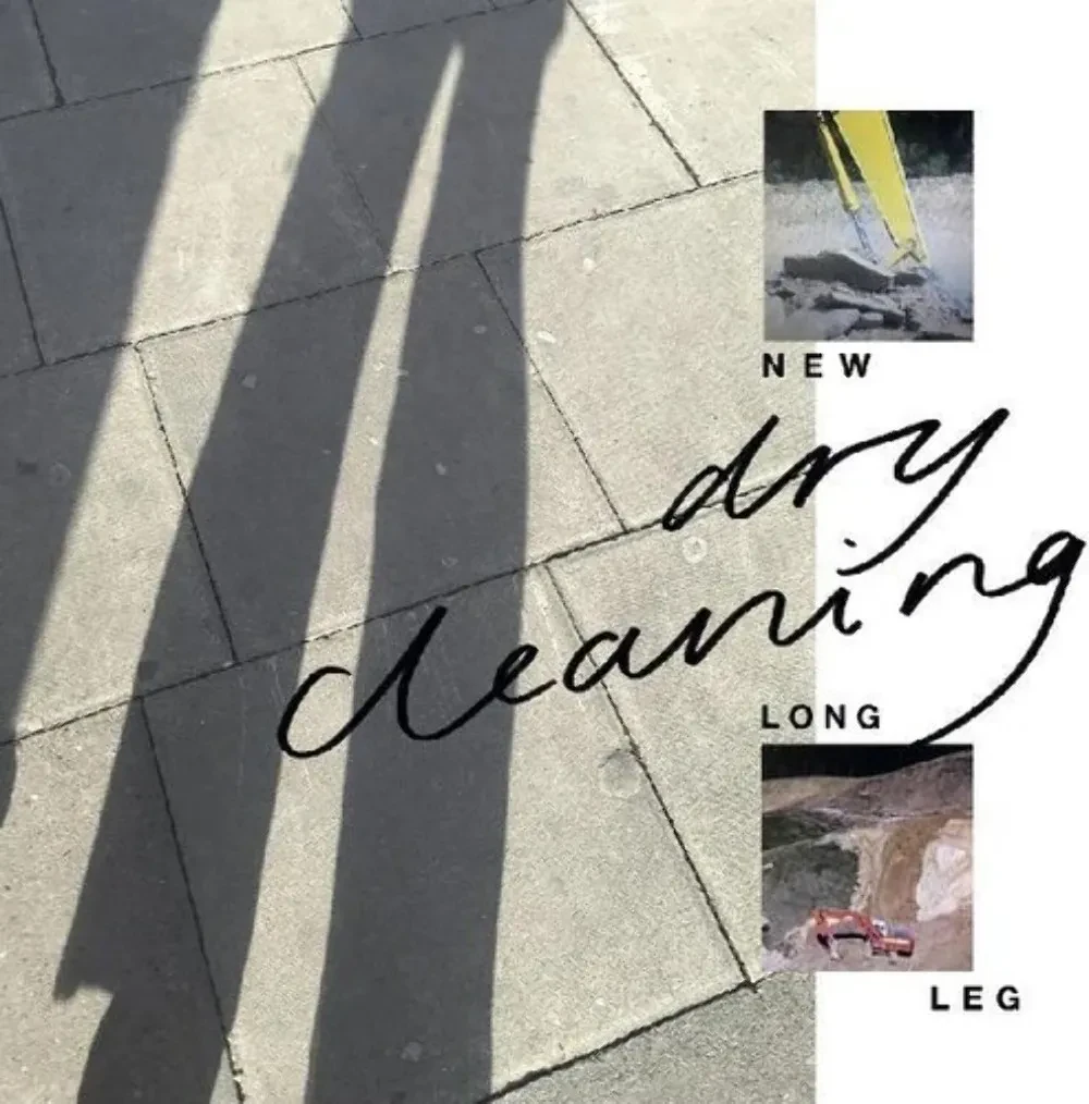 Виниловая пластинка Dry Cleaning – New Long Leg (Релиз 2021) Sealed