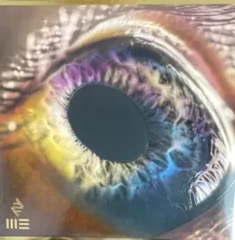 Виниловая пластинка Arcade Fire – WE