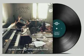 Виниловая пластинка Diamond Dogs - Similar Shakes Different Distortion [New Vinyl LP]