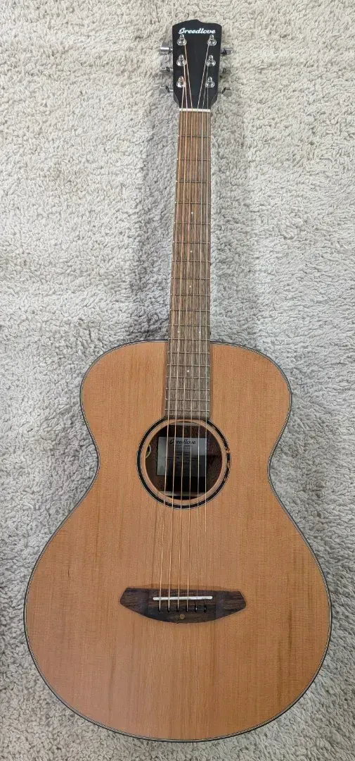 Акустическая гитара Breedlove ECO Discovery S Concertina Natural