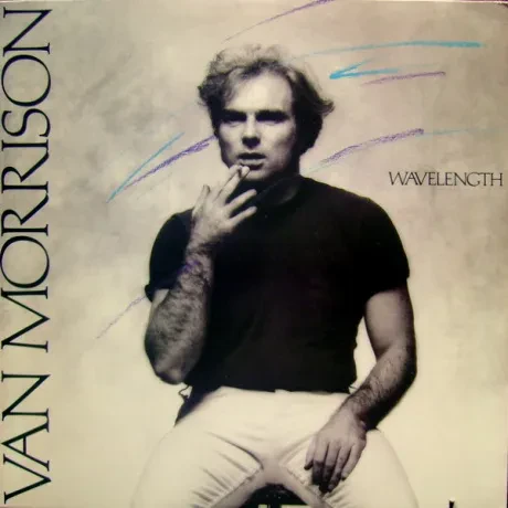 VAN MORRISON - Wavelength (LP , Used)