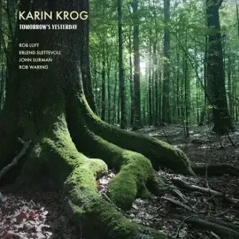 Виниловая пластинка Karin Krog - Tomorrow's Yesterday [New Vinyl LP] UK - Import
