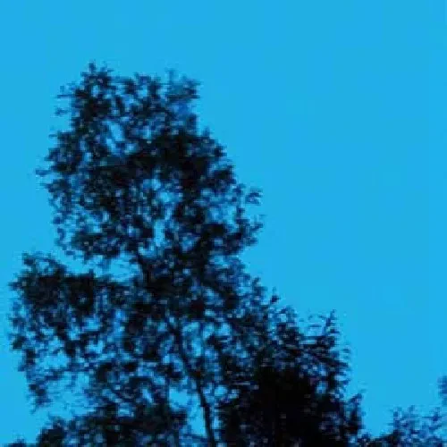 Виниловая пластинка Gate - A Republic Of Sadness [New Vinyl LP]