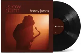 Виниловая пластинка Boney James - Slow Burn [New Vinyl LP]
