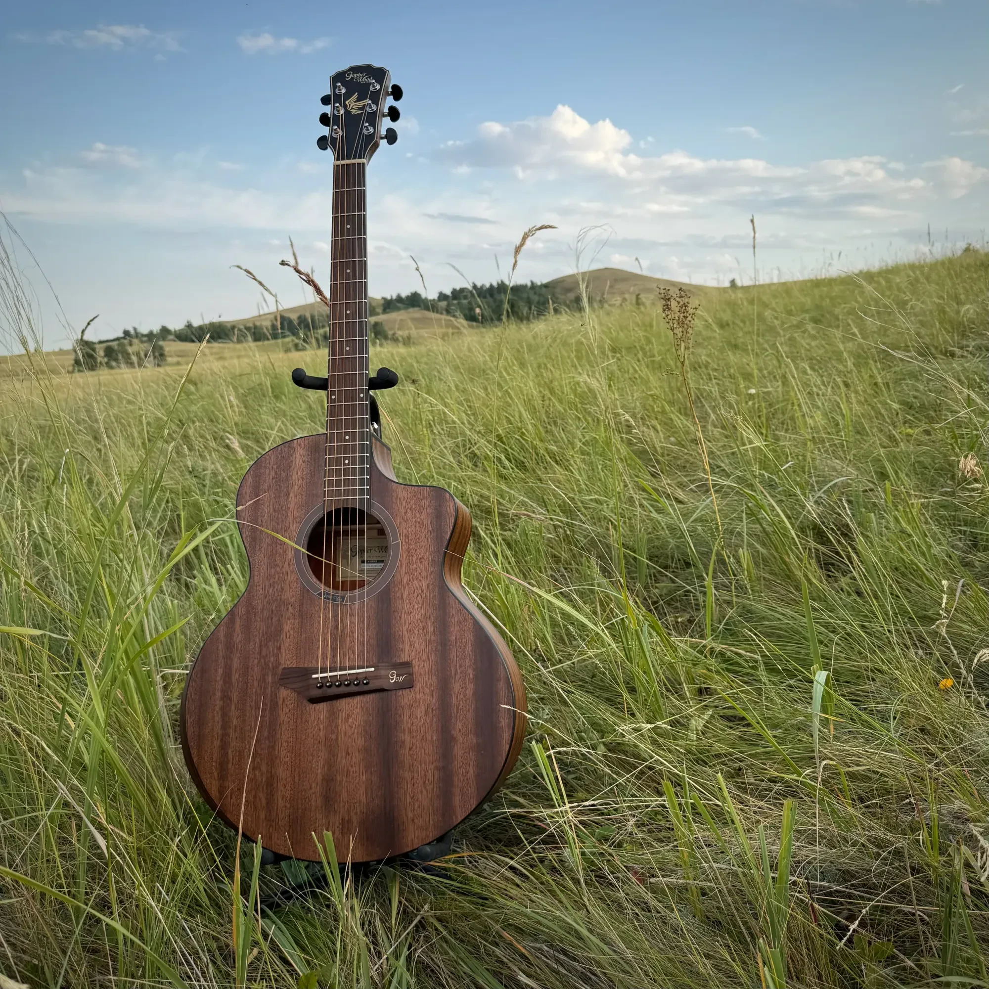 Акустическая гитара Gopherwood I265MC