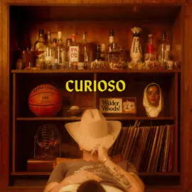 Виниловая пластинка Wilder Woods – Curioso (Релиз 2025)