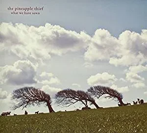 THE PINEAPPLE THIEF - What We Have Sown (CD)