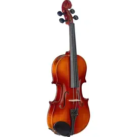 Скрипка Stagg VN-L Series Student Violin Outfit 1/2