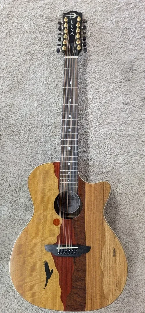 Б/У Электроакустическая гитара Luna Guitars VISTAEAGLE12 12-струнная, из тропической древесины, с жестким кейсом