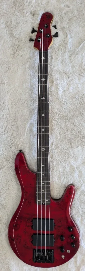 Michael Kelly Pinnacle 4 Active 4-String Electric Bass, Cherry Burl -NAMM Sample