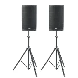 Audio Aktiver Lautsprecher Set 300W RMS 900W Peak 12" Tieftöner 90°