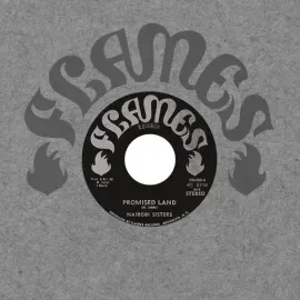 Виниловая пластинка Nairobi Sisters – Promised Land 7" 2023