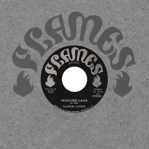 Виниловая пластинка Nairobi Sisters – Promised Land 7" 2023