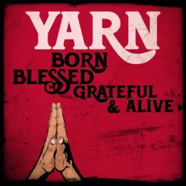 Виниловая пластинка Yarn – Born Blessed Grateful & Alive (Релиз 2024)