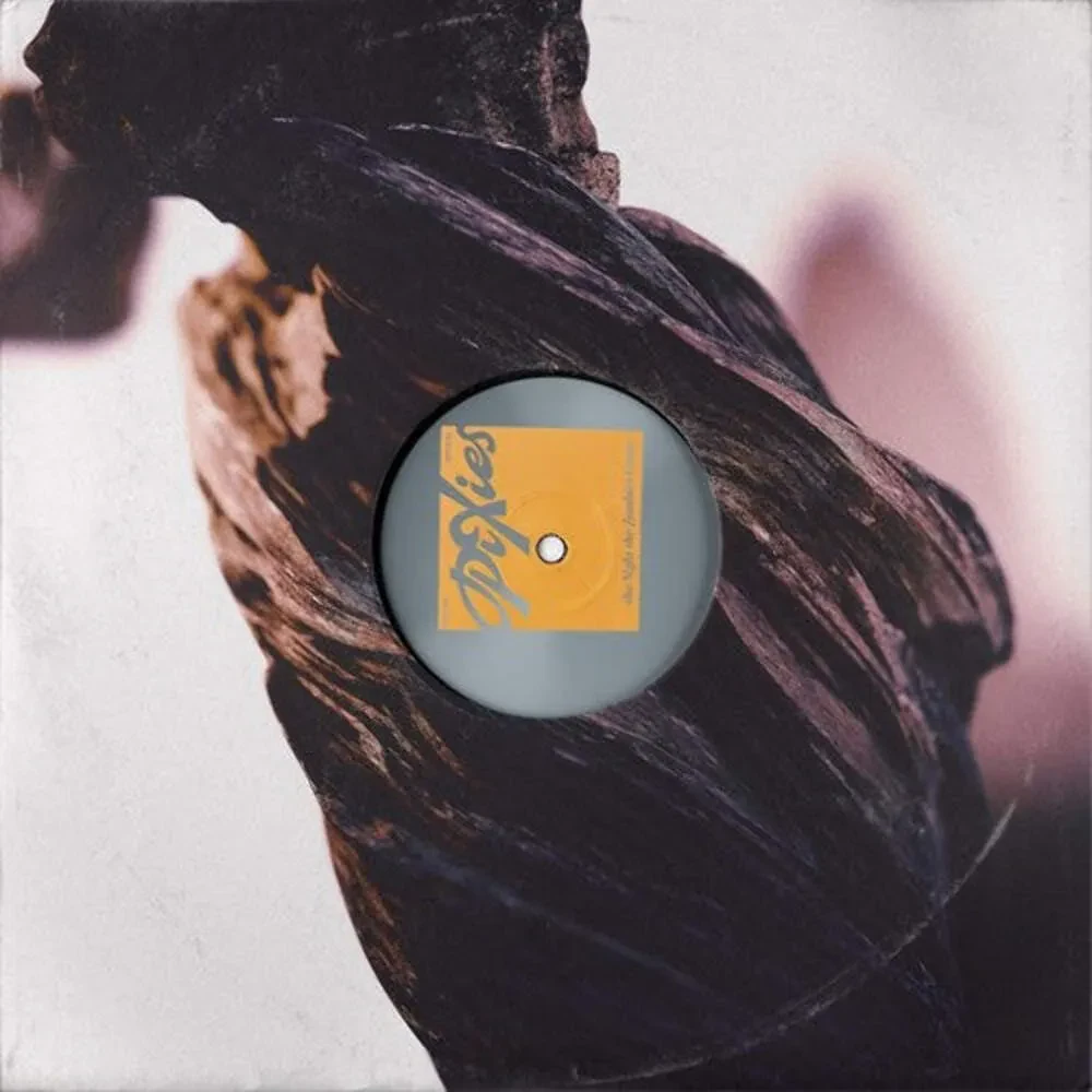 Виниловая пластинка Pixies – The Night The Zombies Came (Релиз 2024)