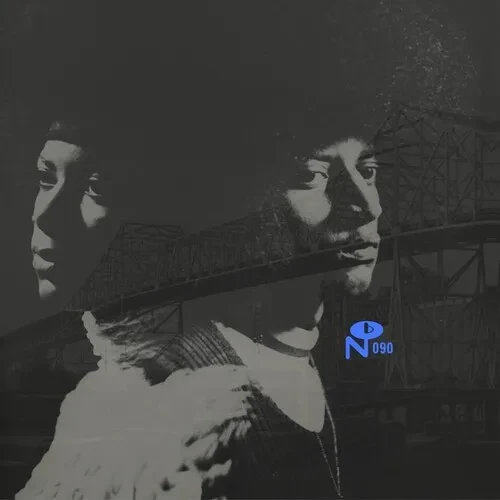 Виниловая пластинка Various Artists - Skyway Soul: Gary, Indiana (Various Artists) [New Vinyl LP]