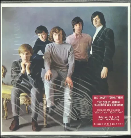 Виниловая пластинка Them – The Angry Young Them