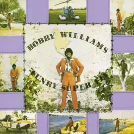 Виниловая пластинка Bobby Williams - Funky Super Fly [New Vinyl LP]