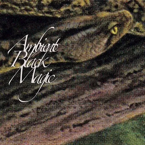 Виниловая пластинка Rainforest Spiritual Enslavement - Ambient Black Magic [New Vinyl LP]