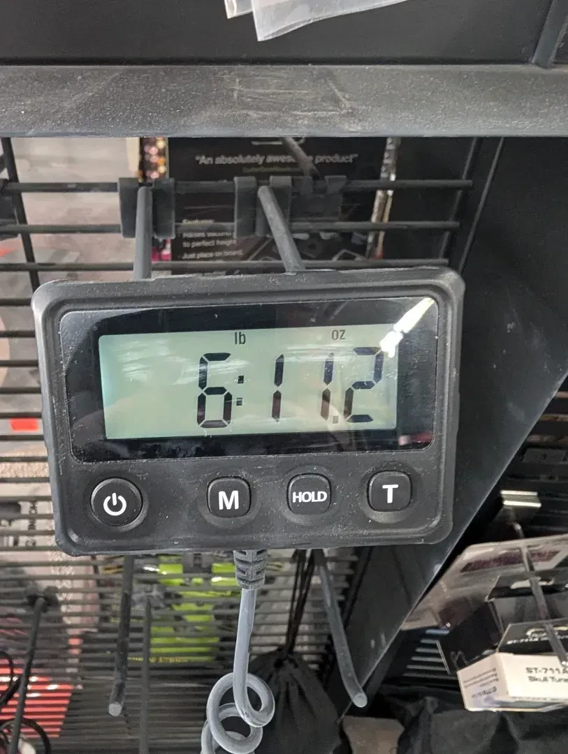 Изображение №7