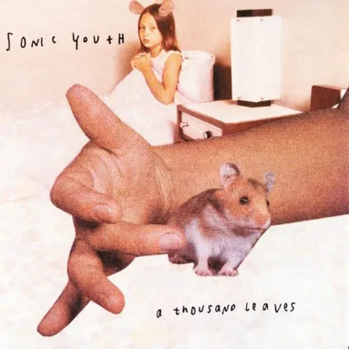 Виниловая пластинка Sonic Youth – A Thousand Leaves (2LP, релиз 2016)