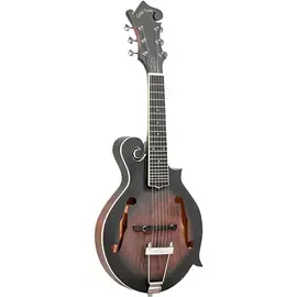 Мандолина Gold Tone F-6  F-style Acoustic-Electric Mando-Guitar Vintage Sunburst