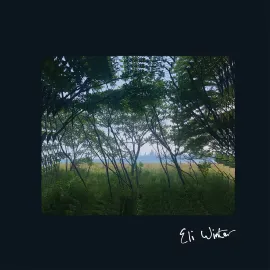 Виниловая пластинка Eli Winter – Eli Winter 2022 Sealed