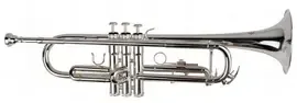 Труба Sebastian STR-435S Bb Silver