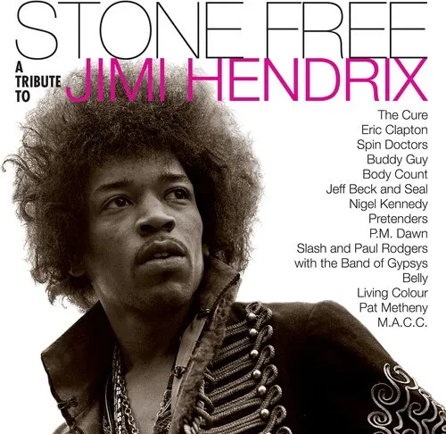 Виниловая пластинка Jimmy Tribute Hendri - Stone Free: Jimi Hendrix Tribute [New Vinyl LP] Black, Cl