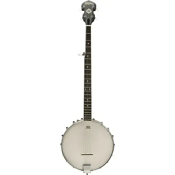 Банджо Washburn 5-string Open Back Banjo