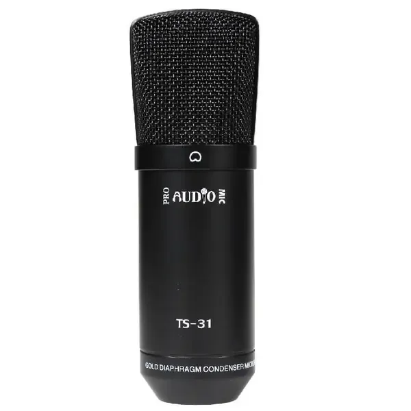 Студийный микрофон ProAudio TS-31