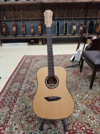 Трансакустическая гитара Gopherwood G100