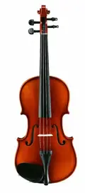 Скрипка Alina Pro AV05F