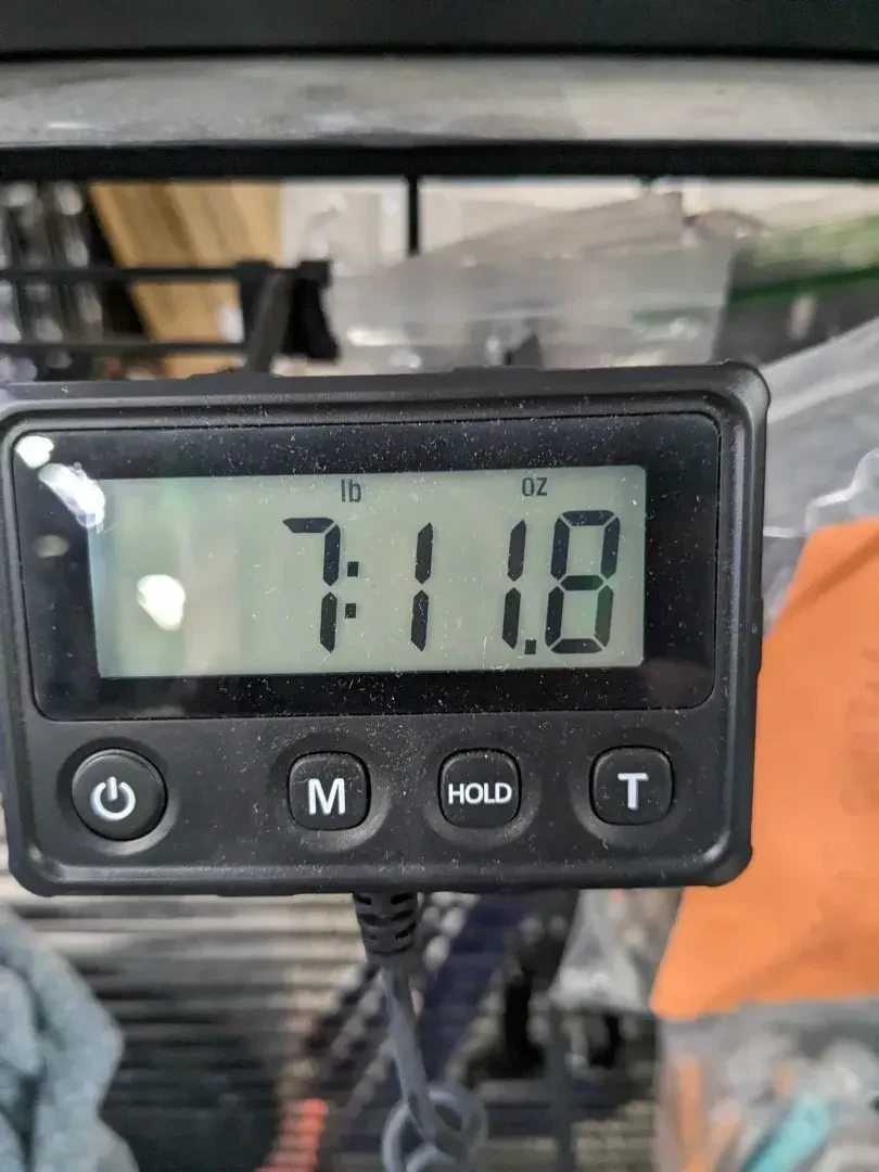 Изображение №8