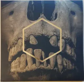 Виниловая пластинка LUSTMORD – The Others