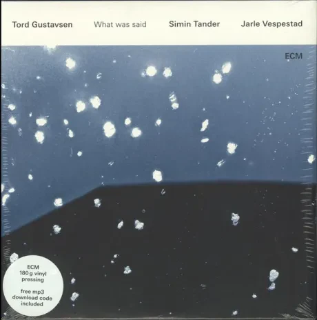 Виниловая пластинка Tord Gustavsen – What Was Said
