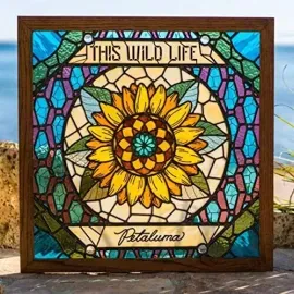 Виниловая пластинка This Wild Life - Petaluma [New Vinyl LP] Colored Vinyl