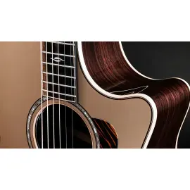 Taylor Next Generation 814ce LE Grand Auditorium AE Guitar Casablanca Beige Met
