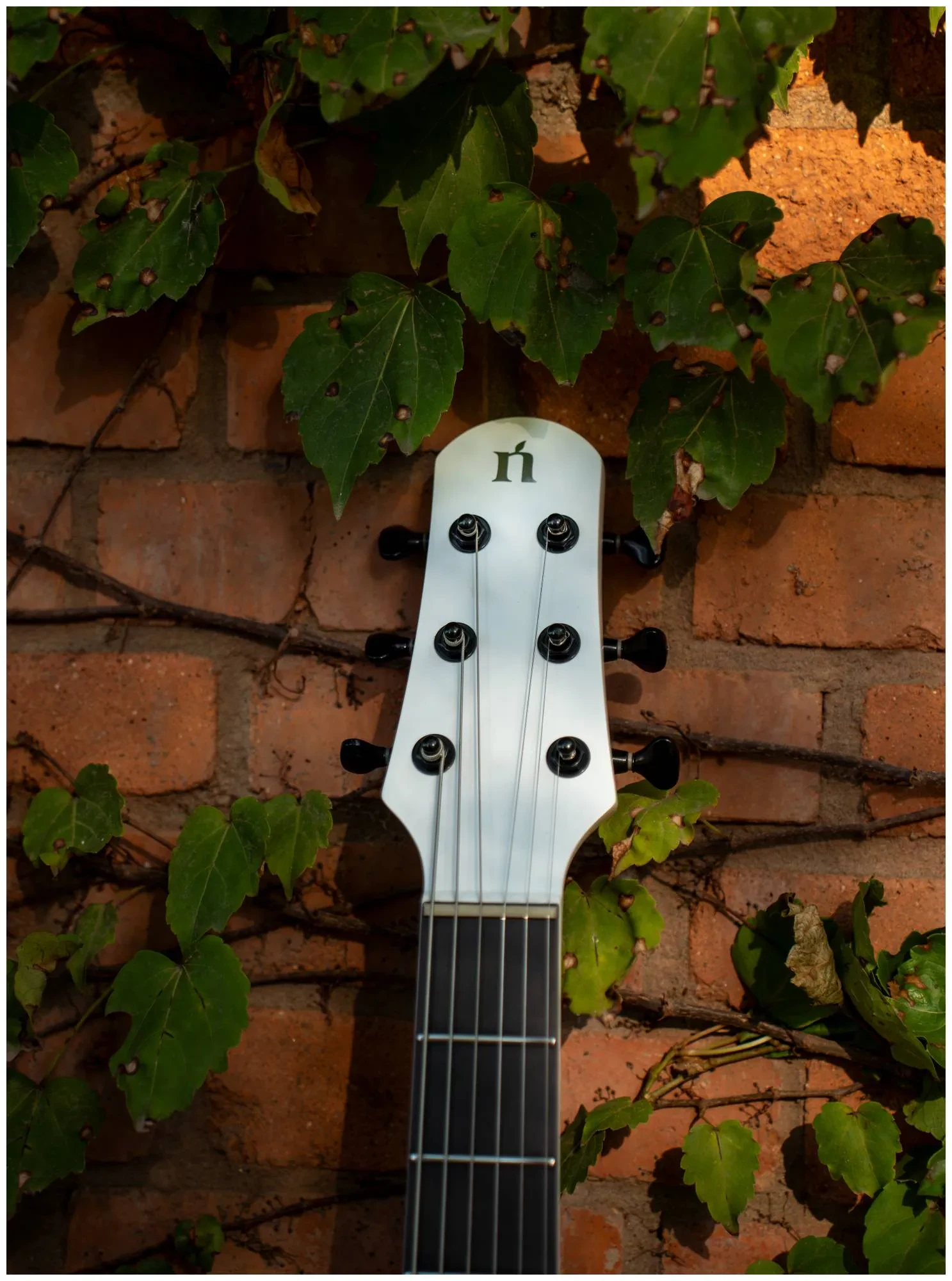 Изображение №25