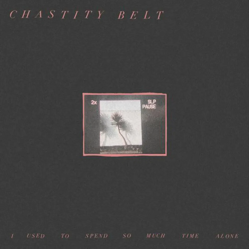 Виниловая пластинка Chastity Belt – I Used To Spend So Much Time Alone