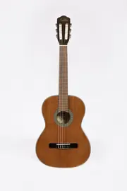 Классическая гитара Sevillia DS-100 3/4 NT